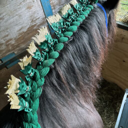 Plaiting Practice 1