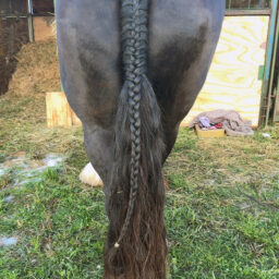 Plaiting Practice 3