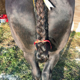 Plaiting Practice 4